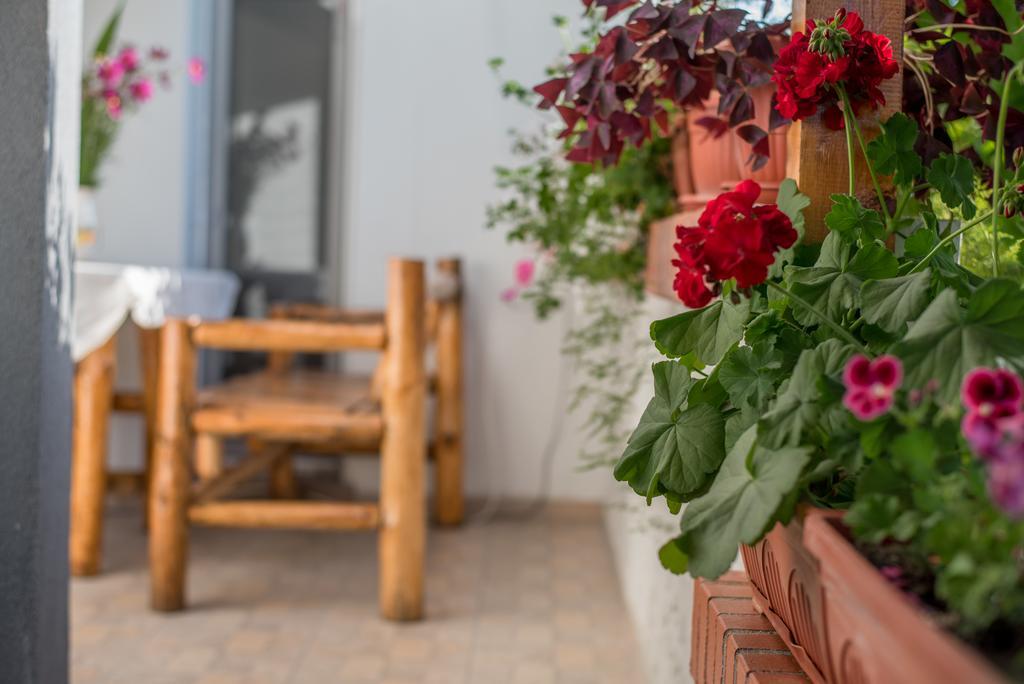 Guesthouse Juli Sapareva Banya ภายนอก รูปภาพ