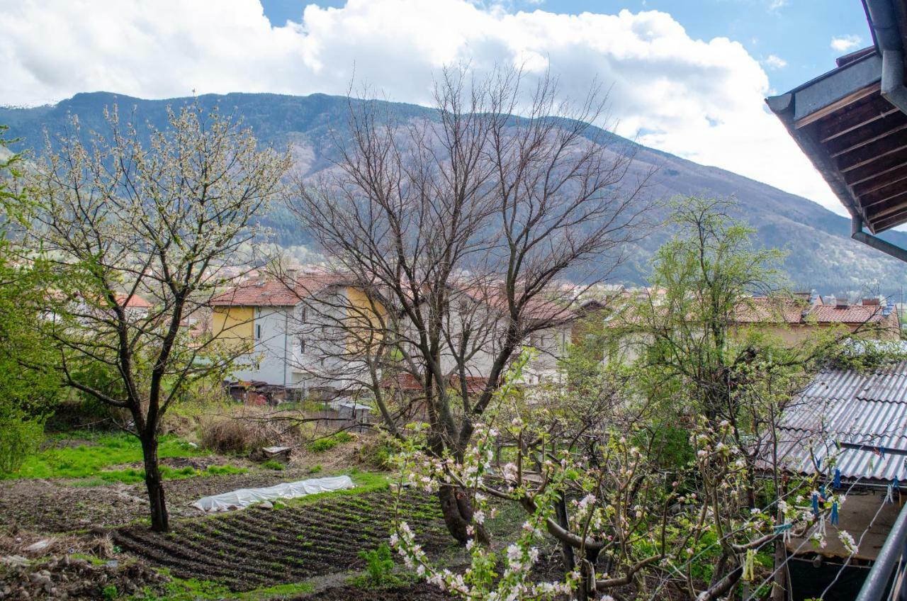 Guesthouse Juli Sapareva Banya ภายนอก รูปภาพ