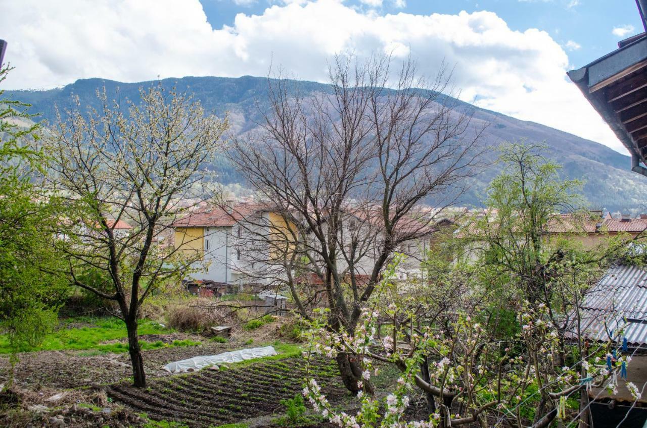 Guesthouse Juli Sapareva Banya ภายนอก รูปภาพ
