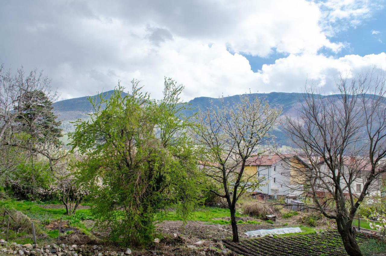 Guesthouse Juli Sapareva Banya ภายนอก รูปภาพ